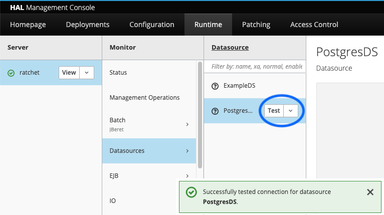 screenshot of the verification of "PostgresDS" in WildFly's management console